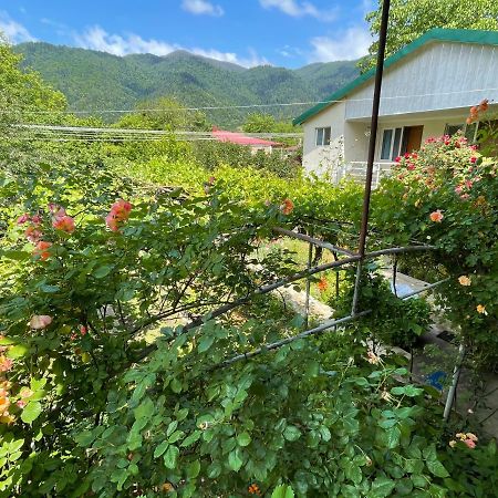 Koticha Villa Borjomi Luaran gambar
