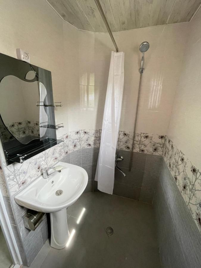Koticha Villa Borjomi Luaran gambar