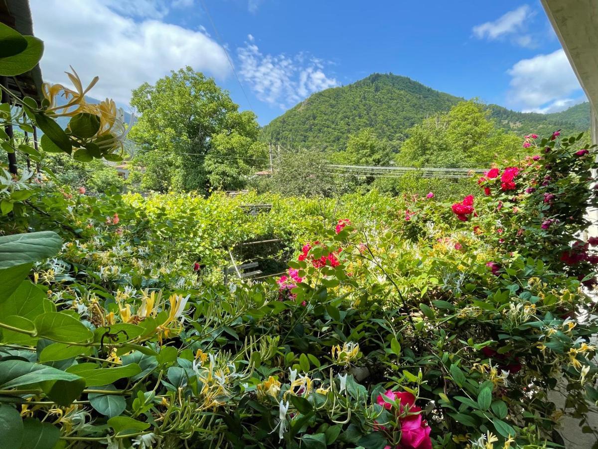 Koticha Villa Borjomi Luaran gambar