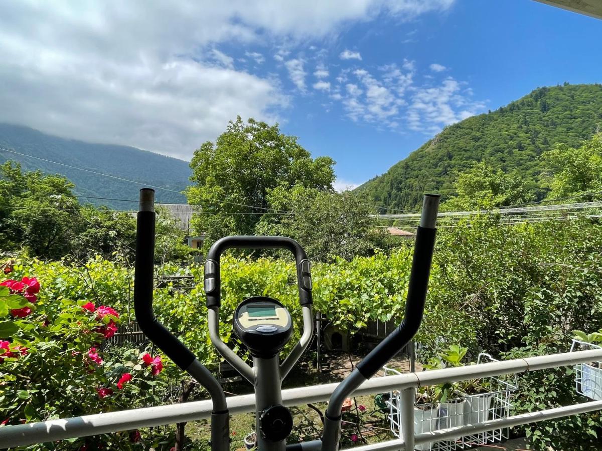 Koticha Villa Borjomi Luaran gambar